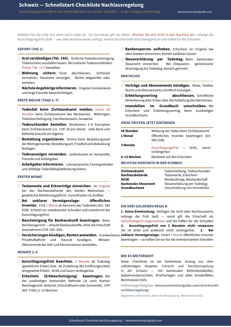 Vorschau Seite 1